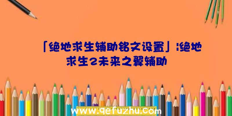 「绝地求生辅助铭文设置」|绝地求生2未来之翼辅助